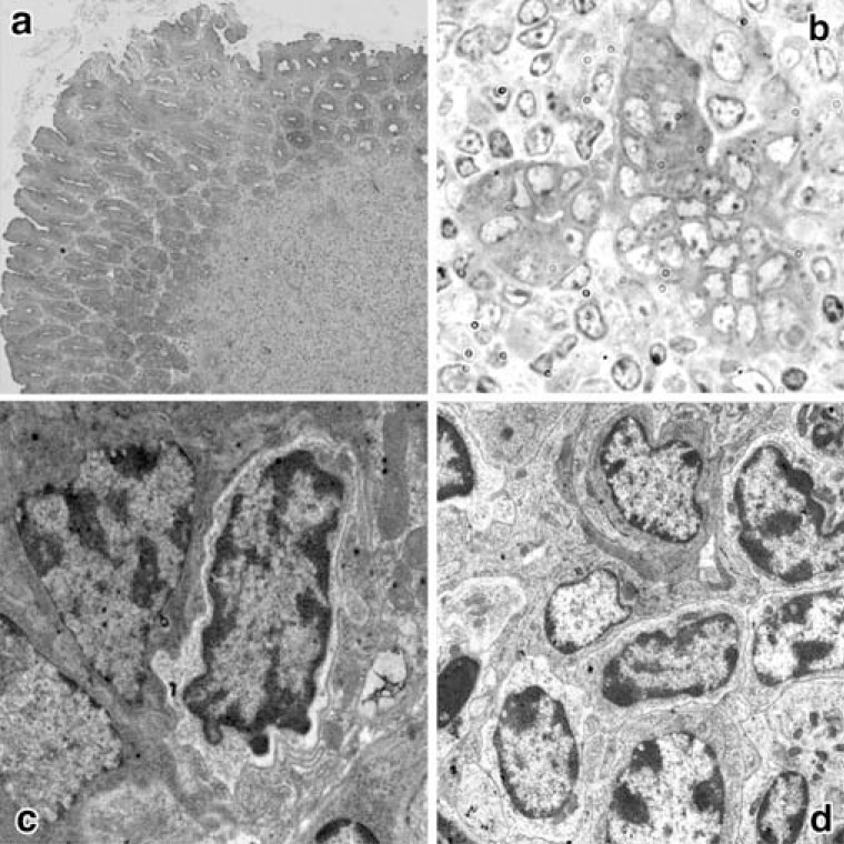 Fig. (1)