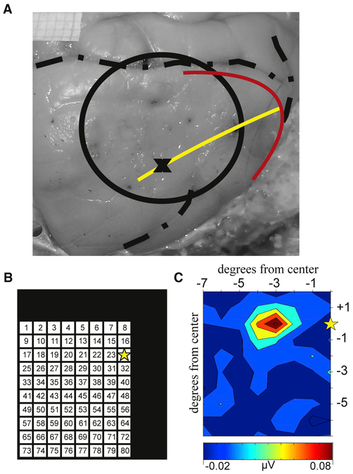 Figure 2.