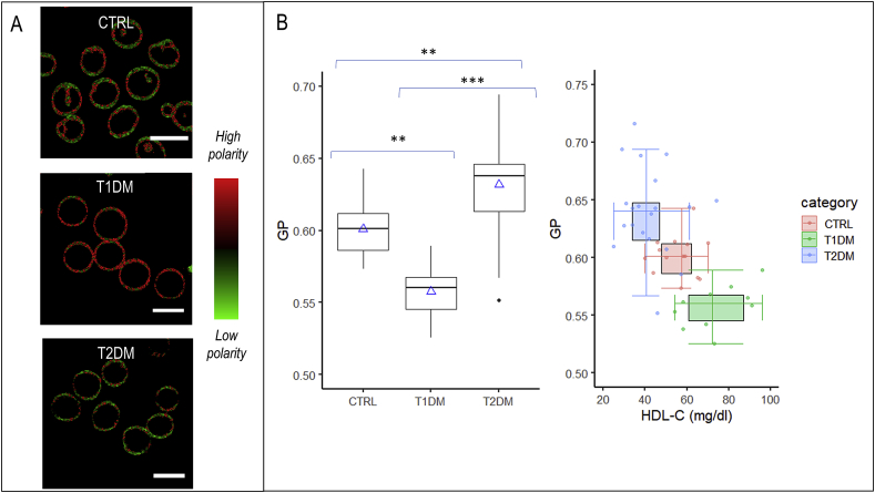 Fig. 3