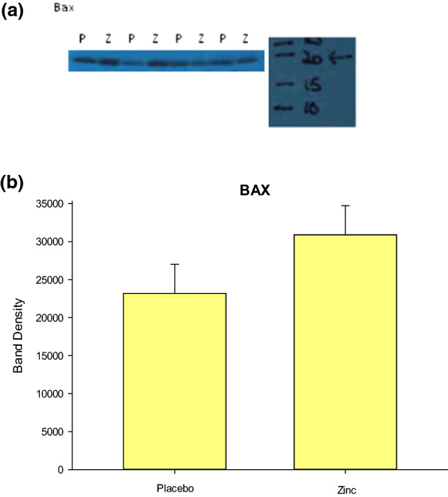 Fig. 3