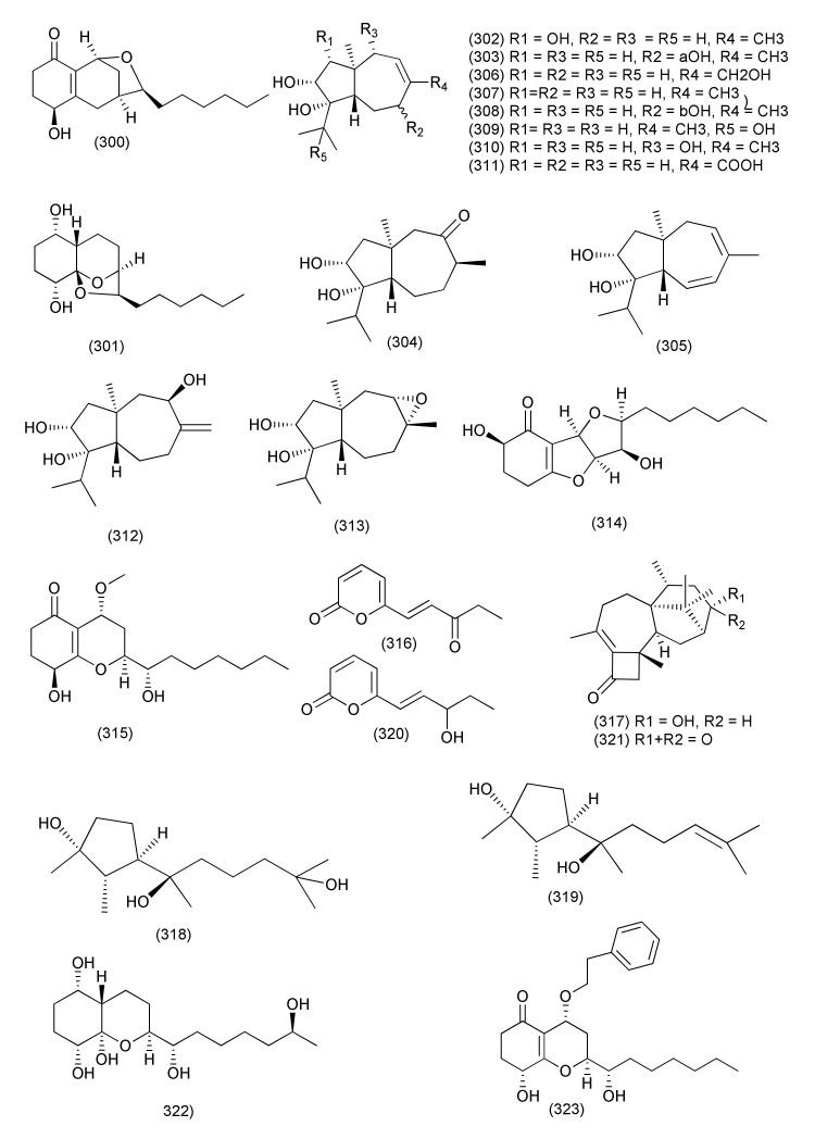 Figure 17