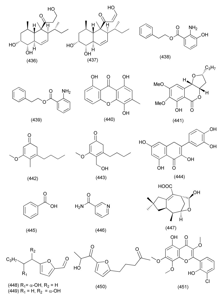 Figure 24