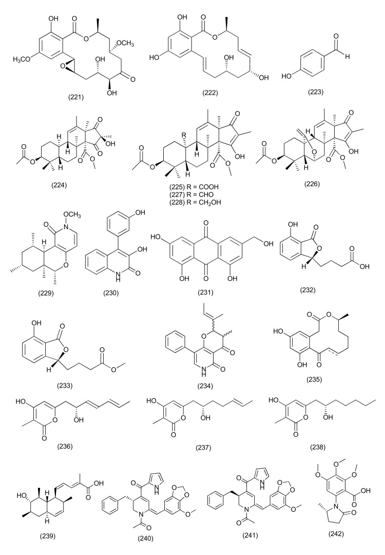 Figure 13