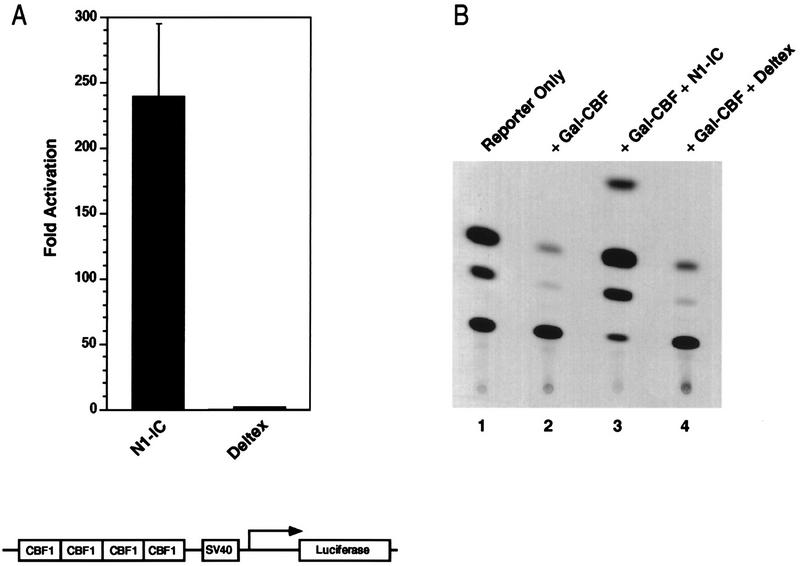 FIG. 7