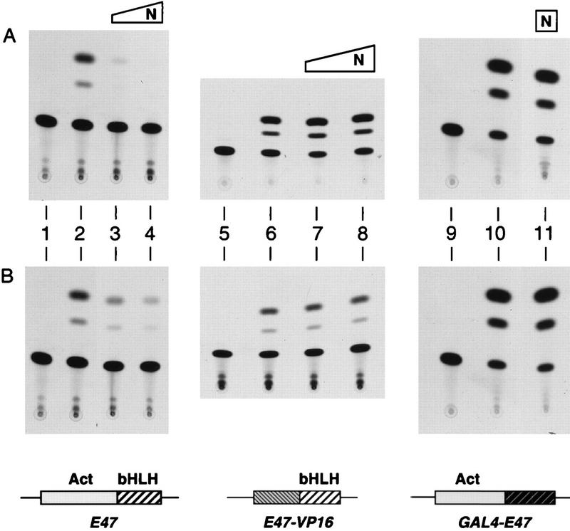 FIG. 1