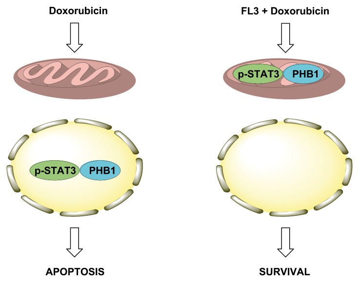 Fig 7