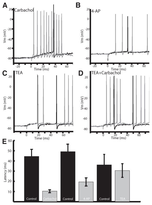 FIG. 7