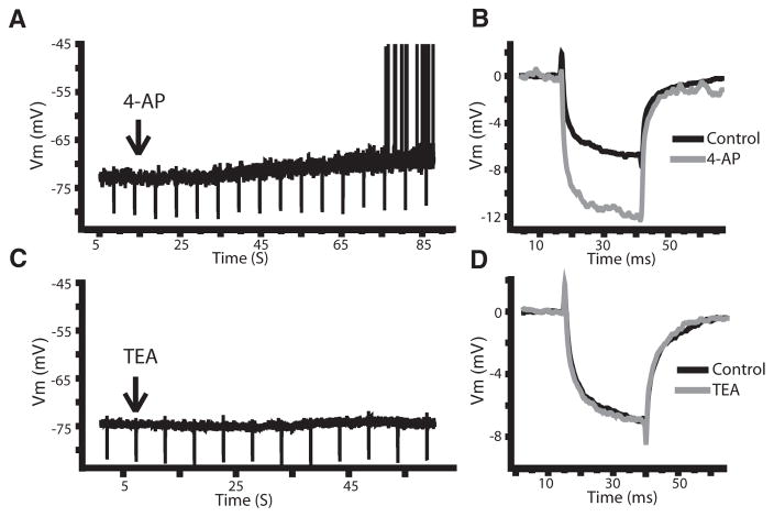 FIG. 6