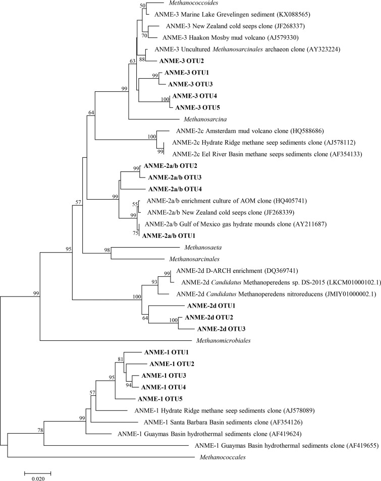 FIG 3