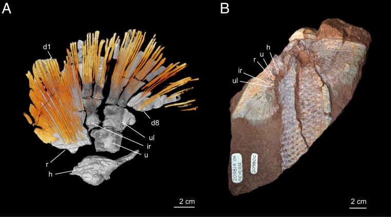 Fig. 1.