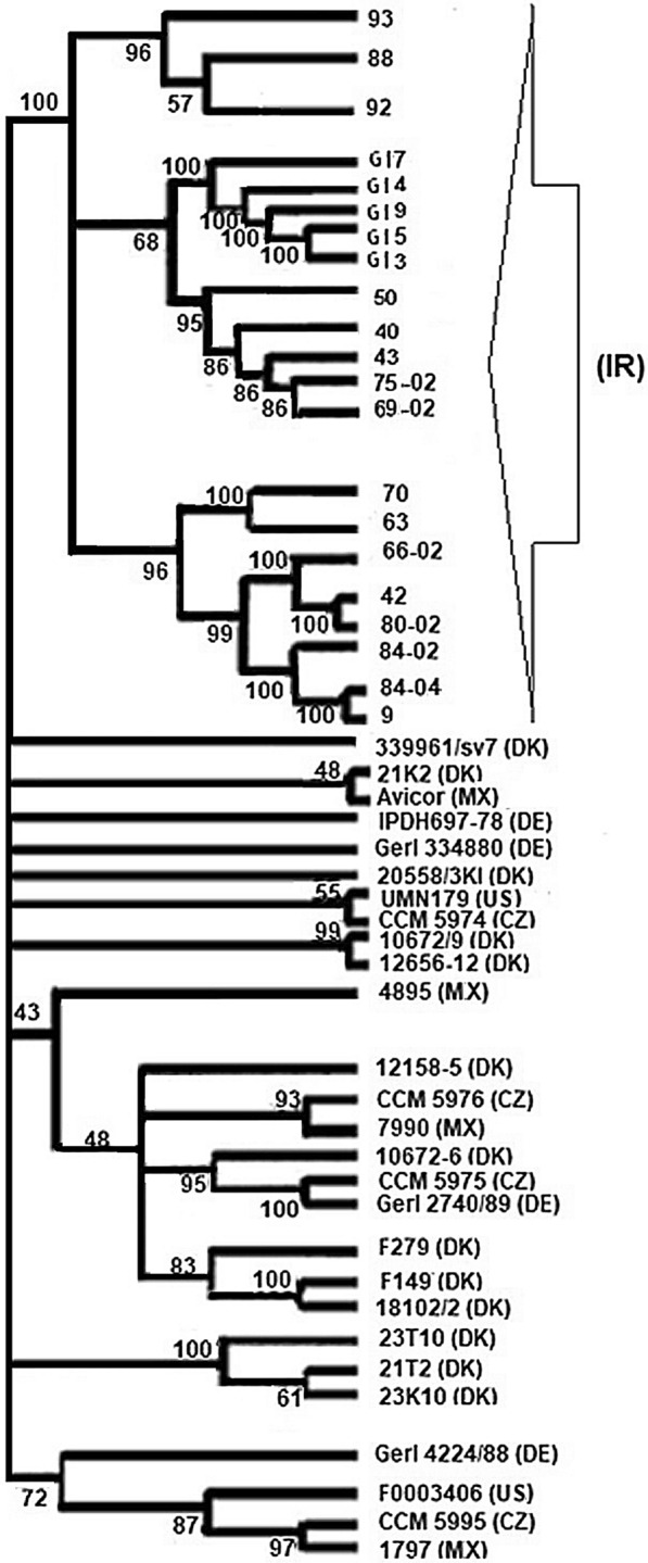 Figure 5