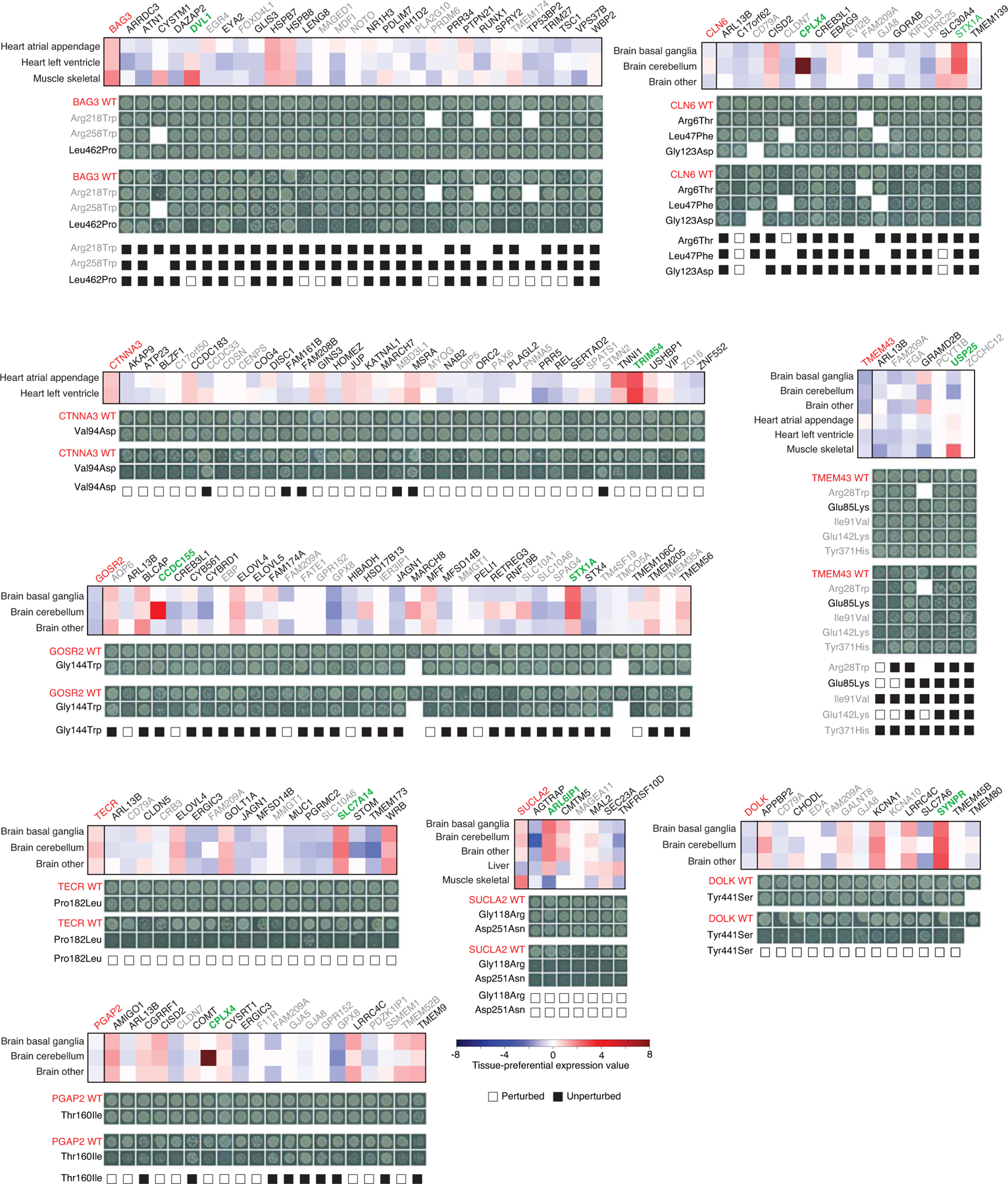 Extended Data Fig. 10 |