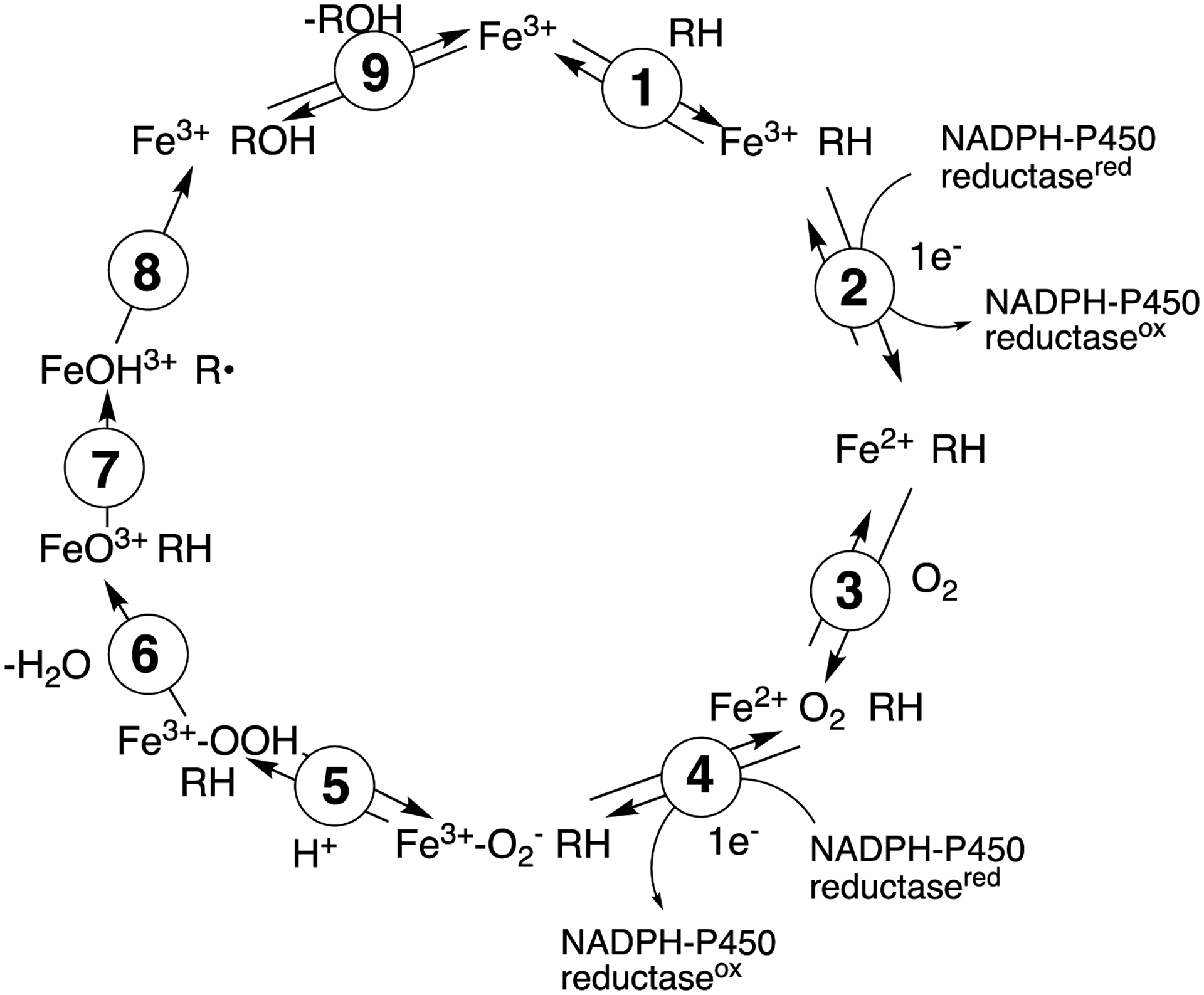 Scheme 3.