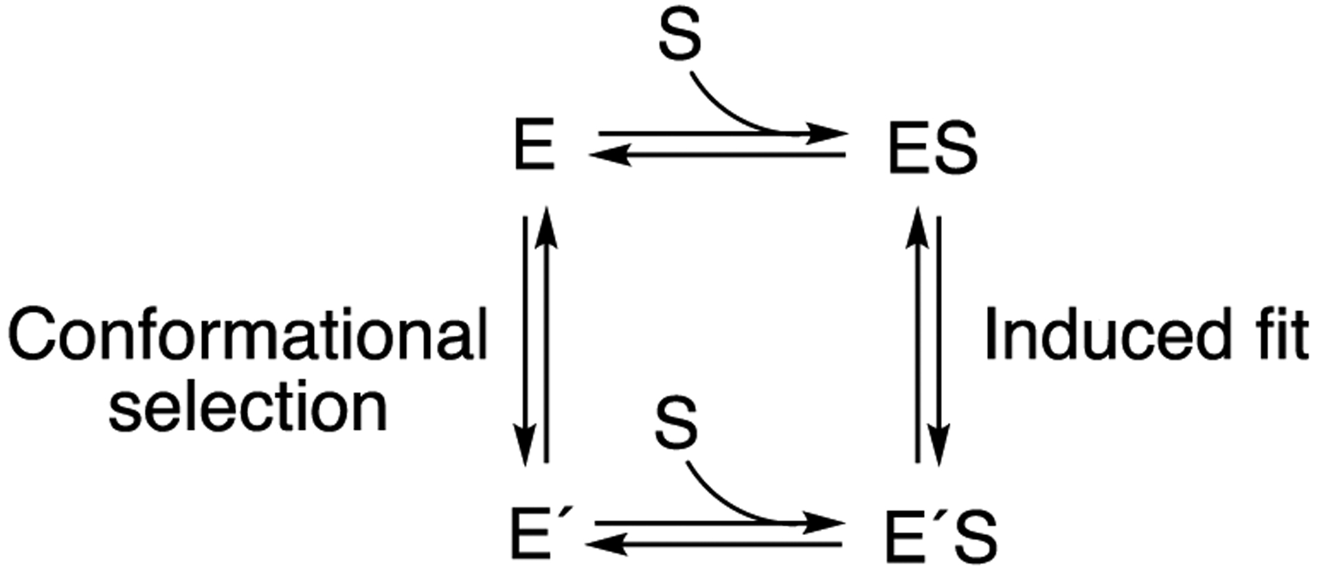 Scheme 1.