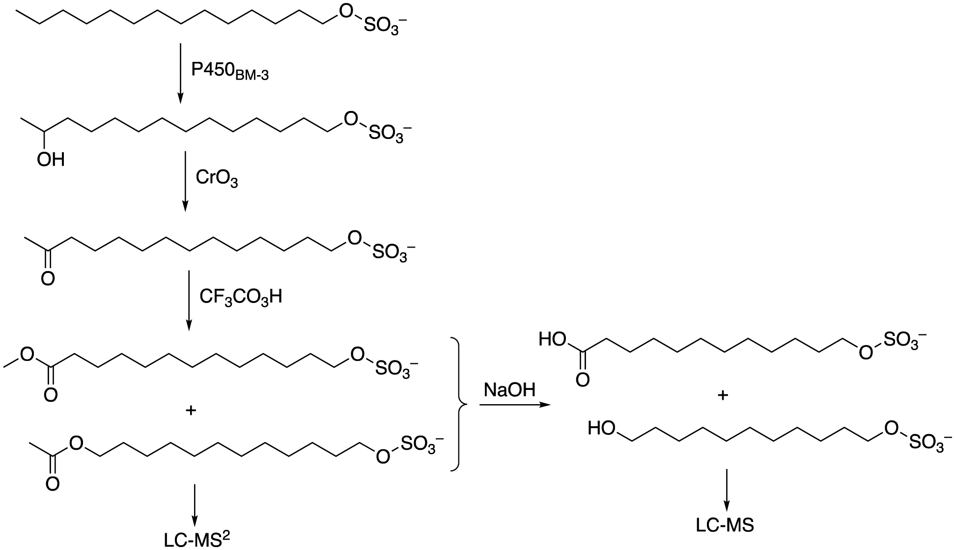 Scheme 2.