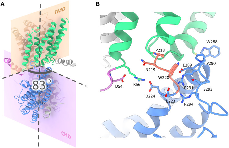 Fig. 2.