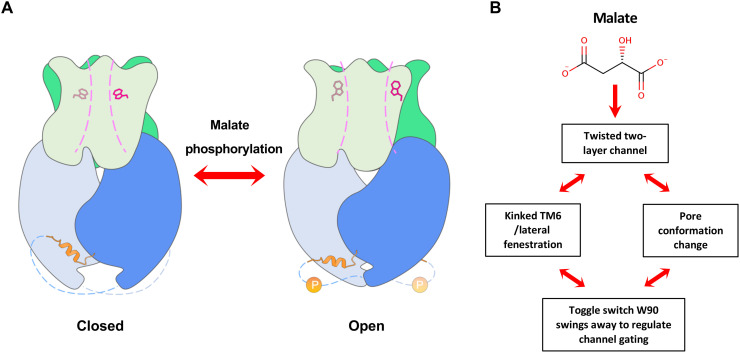 Fig. 9.