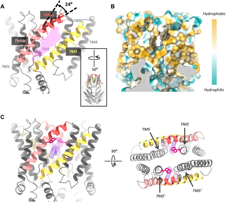 Fig. 4.