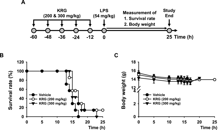 Fig. 4