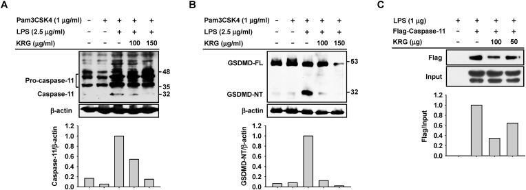 Fig. 3