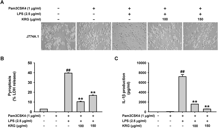 Fig. 2