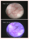 Fig 8