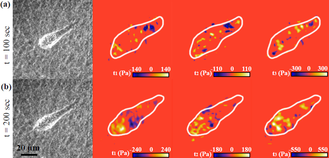 Fig. 8