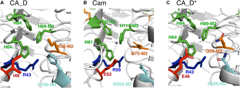 FIGURE 4