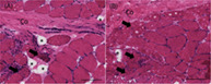 graphic file with name JSP2-4-e1169-g001.jpg
