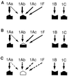 FIG. 6