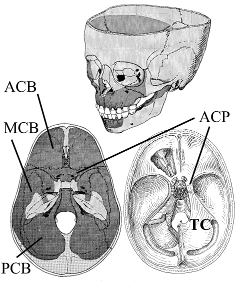 Fig. (4)