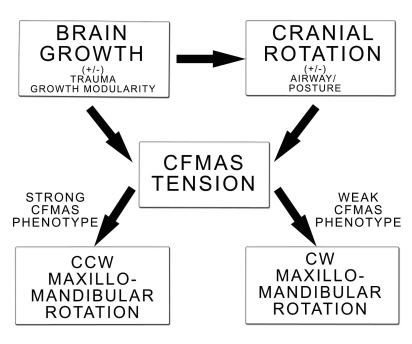 Fig. (2)