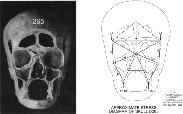 Fig. (8)