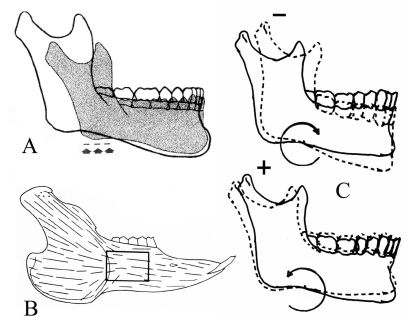 Fig. (7)