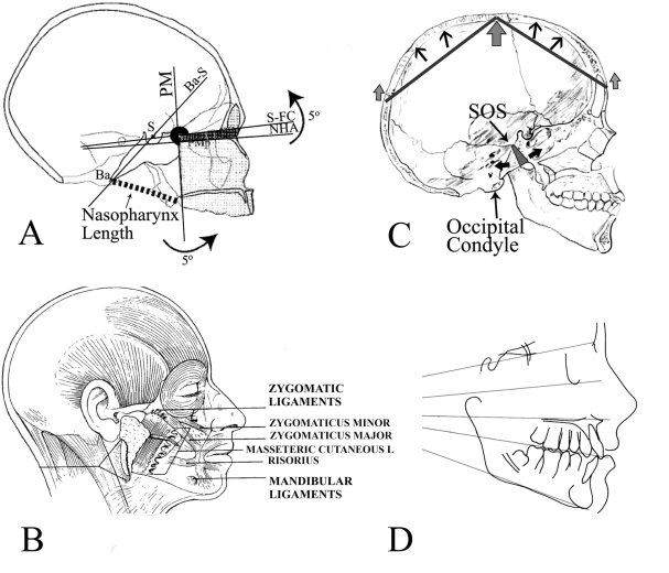 Fig. (3)