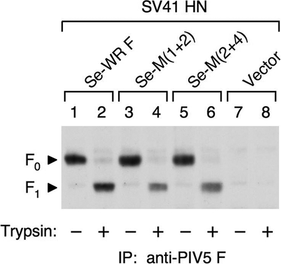 FIG. 6.