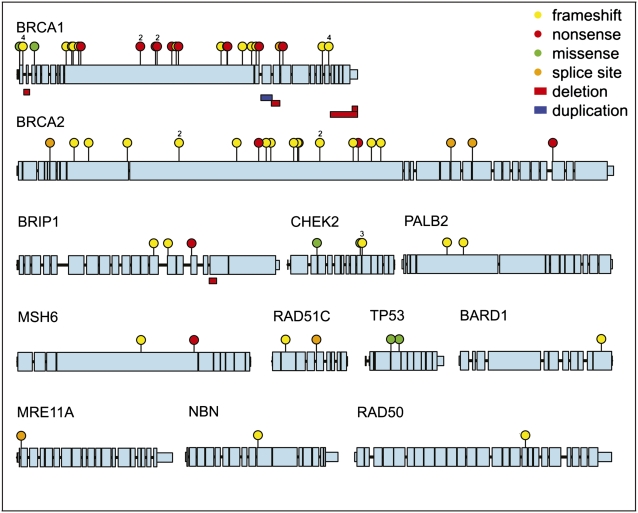 Fig. 2.