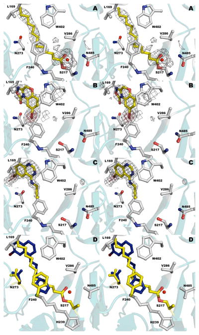 Figure 5