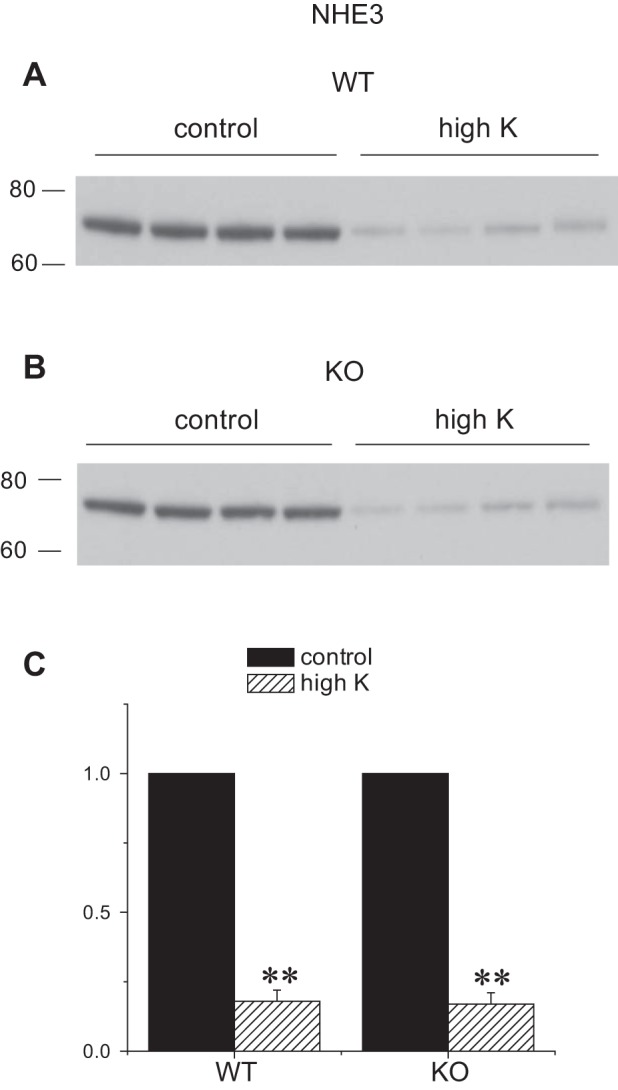 Fig. 8.