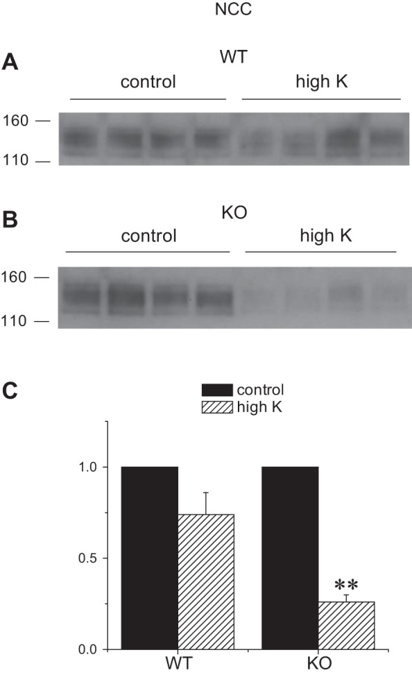 Fig. 10.