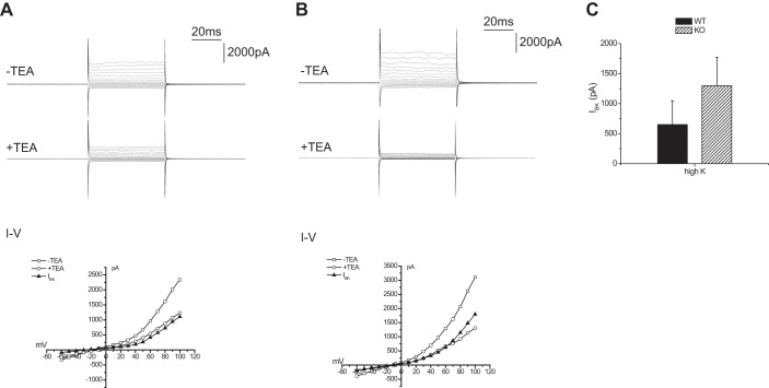 Fig. 13.