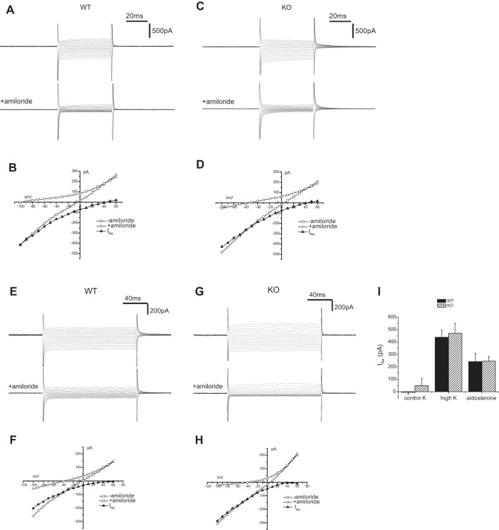 Fig. 11.