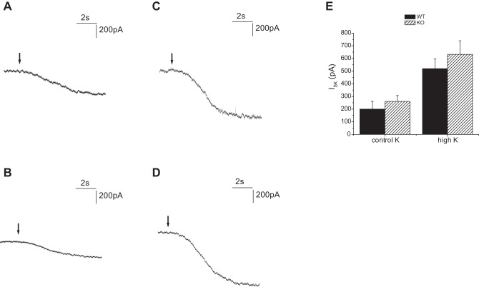 Fig. 12.