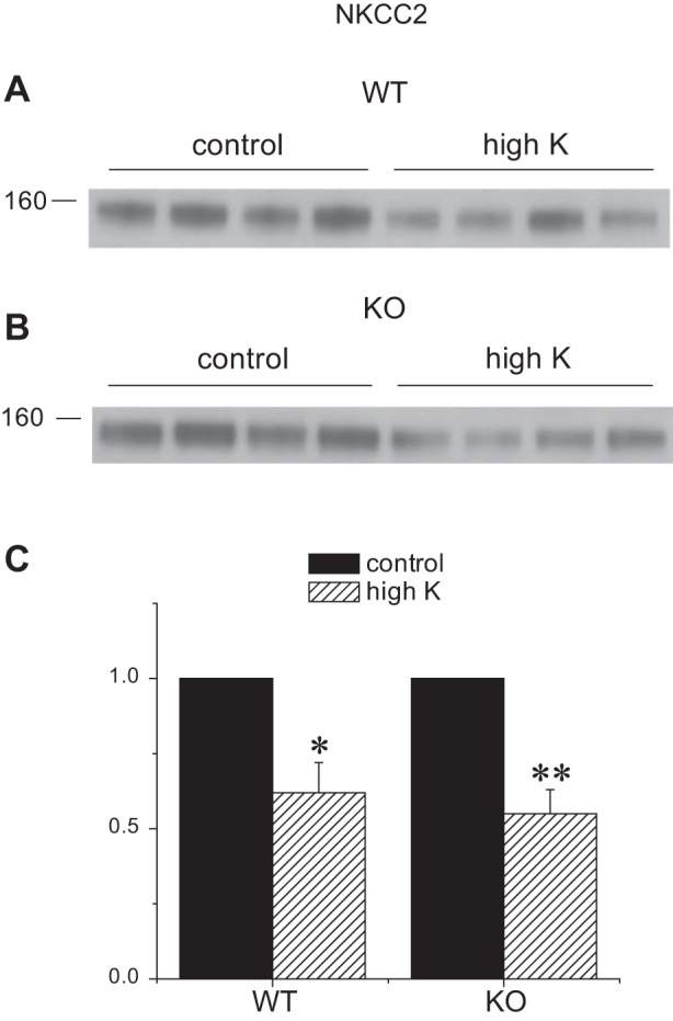 Fig. 9.