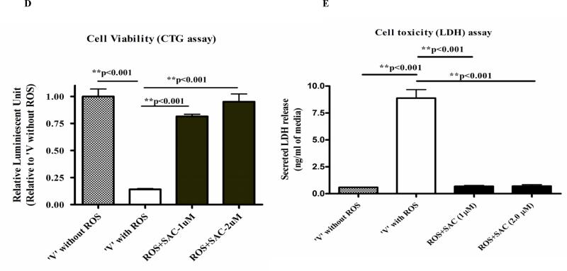 Fig. 1A