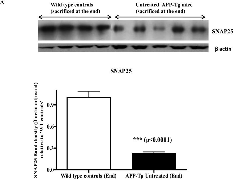 Fig.4A