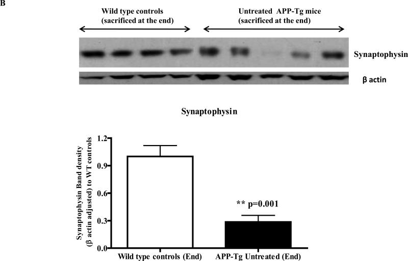 Fig.4A