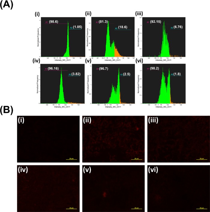 Figure 20