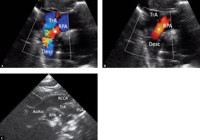 Fig. 9.