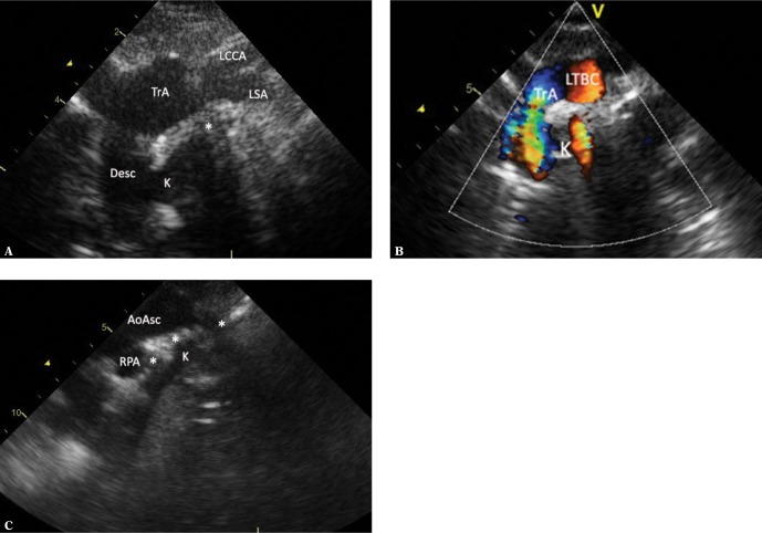 Fig. 8.